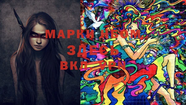 шишки Магас
