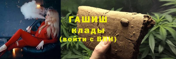 прущие грибы Губаха