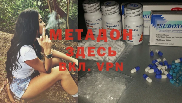 шишки Магас