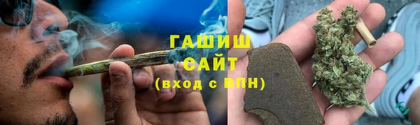 шишки Магас