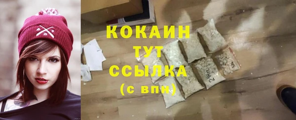 шишки Магас