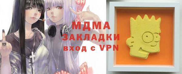 шишки Магас