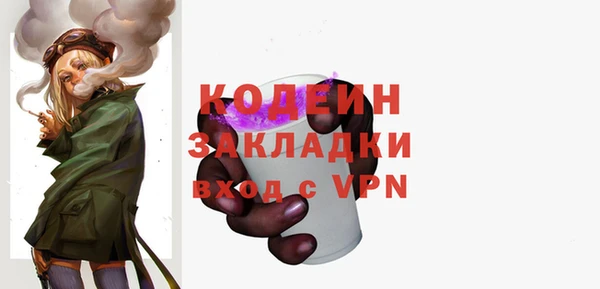 шишки Магас