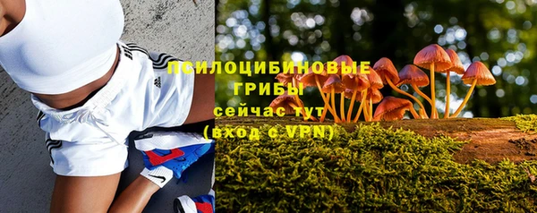 ALPHA-PVP Грязи