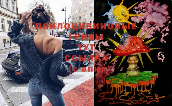 ECSTASY Магадан