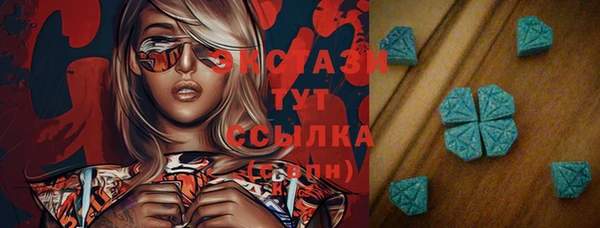 шишки Магас