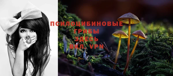 ешки Майский