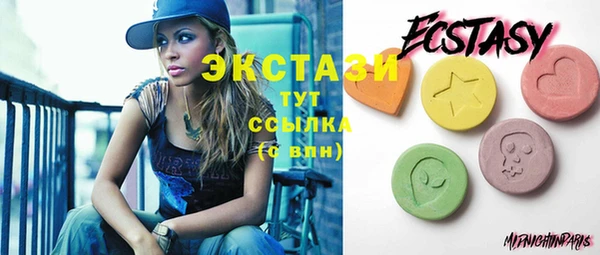 шишки Магас