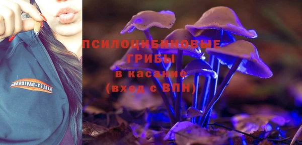 шишки Магас